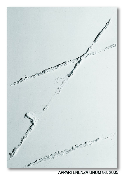 Appartenenza Unum  96 70X50 copia.jpg